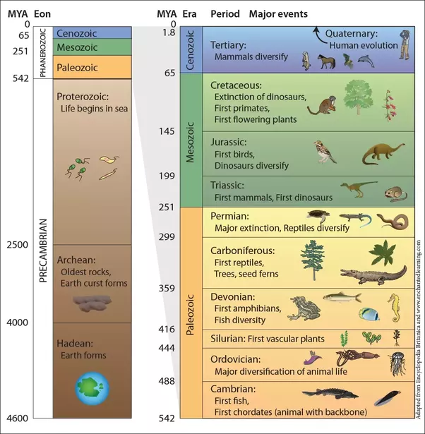 Geological Time Table Chart