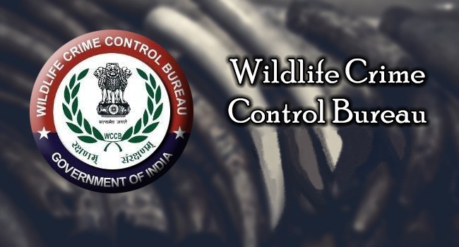 Wildlife Crime Control Bureau Internship for Students | Winter Internship Opportunity | Free Certificate | Free Government Internship
