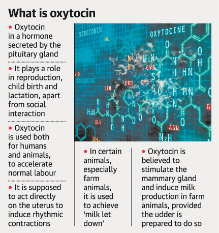 Oxytocin-1