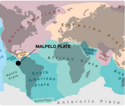 MALPELO-Plate