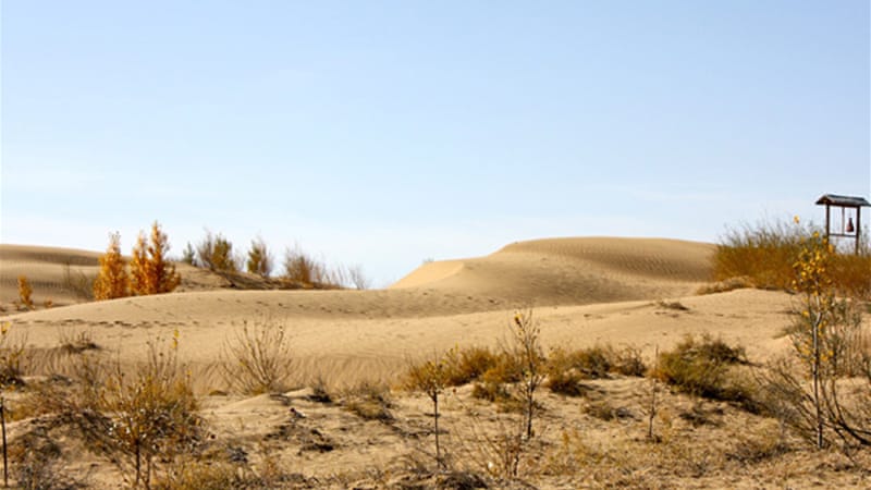 ias4sure.com - Desertification