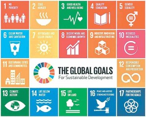 ias4sure.com - SDG Report 2018