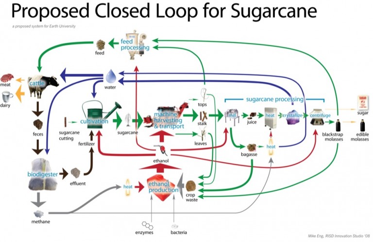 Ethanol production for Sugarcane IAS4Sure